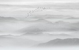 意境山水背景墙