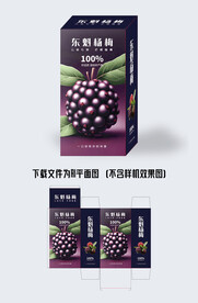 杨梅包装