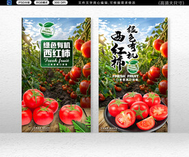 番茄