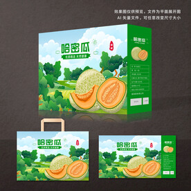 哈密瓜包装礼盒