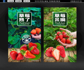  草莓