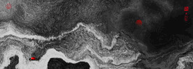 玄关水墨画