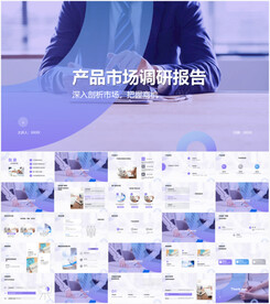 产品市场调研报告ppt
