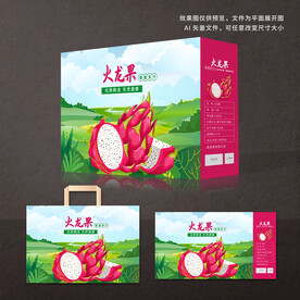 火龙果包装