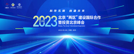 活动主视觉