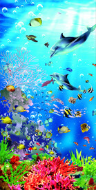 海底世界