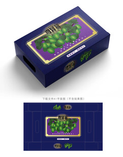 奇异莓纸盒