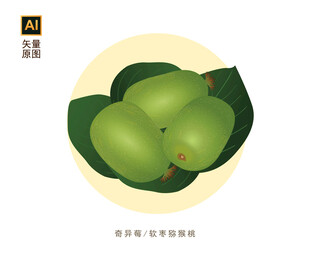 软枣猕猴桃