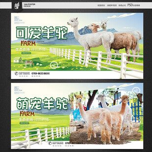 羊驼
