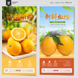 赣南脐橙
