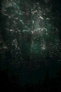 外墙水泥板苔藓