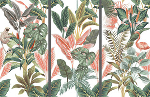 芭蕉叶火烈鸟热带雨林