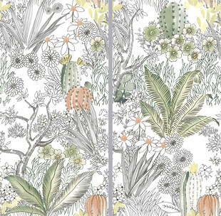 热带雨林芭蕉仙人掌