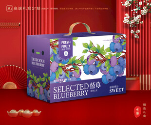 蓝莓包装 水果礼盒