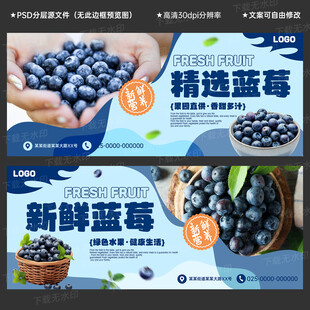 蓝莓