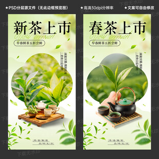 春茶