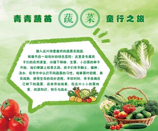 蔬菜实践园