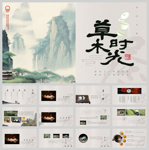 茶叶品茶茶艺ppt模板