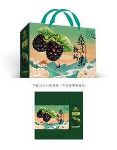 桑葚礼盒 