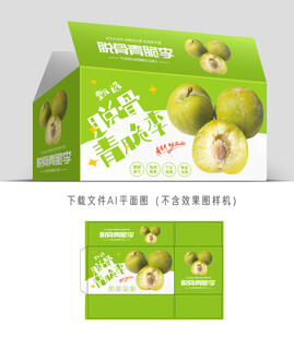 脱骨脆李包装