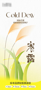 节气海报