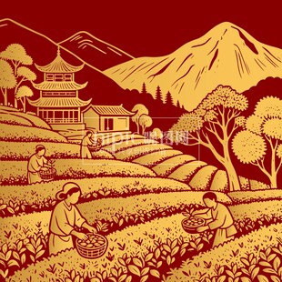 农民茶叶茶山茶园摘茶元素