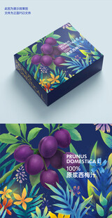 西梅插画果汁包装