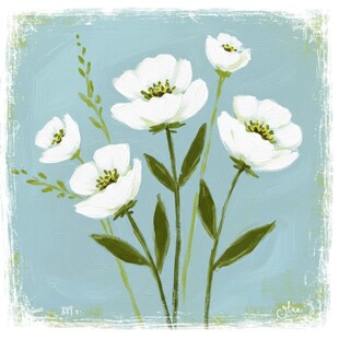 蓝色背景下的白色花朵