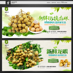 新鲜龙眼