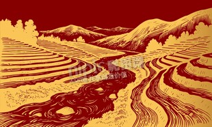 线描农田梯田小溪背景