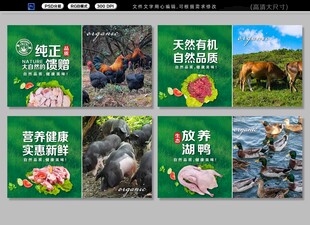 家禽生鲜