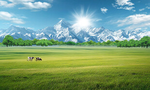 蓝天白云大草原