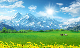 蓝天白云大草原