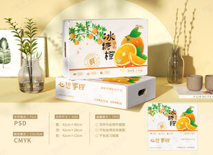 橙子插画包装