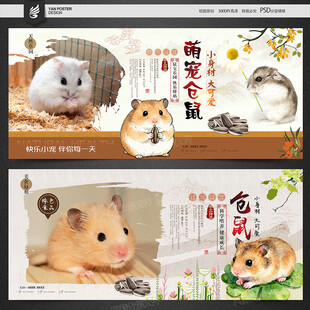 仓鼠