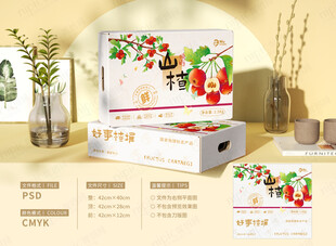 手绘山楂礼盒包装