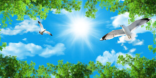 蓝天白云软膜吊顶