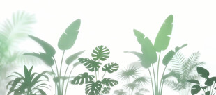 雾气磨砂膜效果绿植贴图