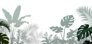 雾气磨砂膜效果绿植贴图