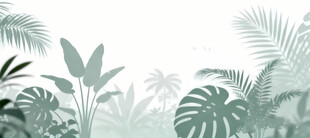 雾气磨砂膜效果绿植贴图