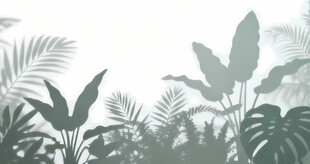 雾气磨砂膜效果绿植贴图