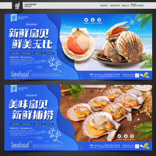 扇贝