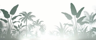 雾气磨砂膜效果绿植贴图