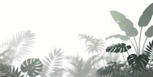 雾气磨砂膜效果绿植贴图