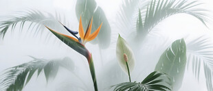 雾气磨砂膜效果绿植贴图