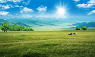 蓝天白云大草原