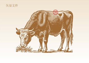 手绘牛素描插画版画