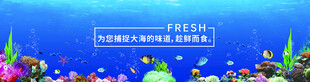 梦幻海底世界景观
