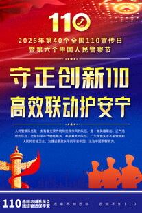 110宣传活动海报