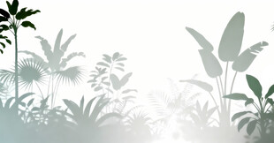 雾气磨砂膜效果绿植贴图